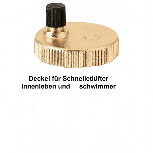 Schnellentlüfter , Schnellentlüfter Vaillant-Pumpe-161016 fuer VC-64-2, 255-2, VCW-194-2